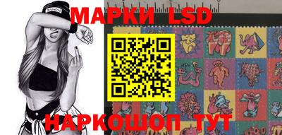 СК Краснодар