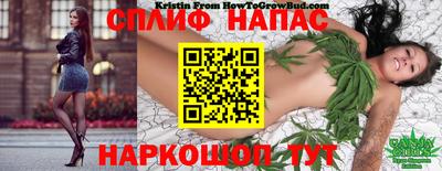 стаф Краснокаменск