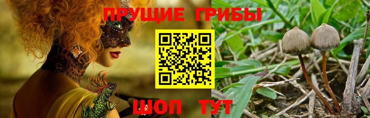 Галлюциногенные грибы мухоморы  как найти закладки  Кострома  Вход с VPN  Псилоцибиновые грибы MAGIC MUSHROOMS 