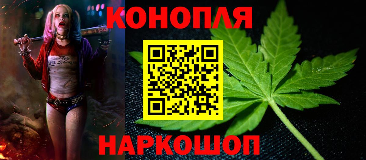 Конопля сатива  Вход с VPN  Конопля тримм  Канабис семена  Кострома  Конопля гибрид 